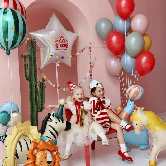 Circus elephant horse giraffe animals Cake sea lion Birthday balloons Party Decor