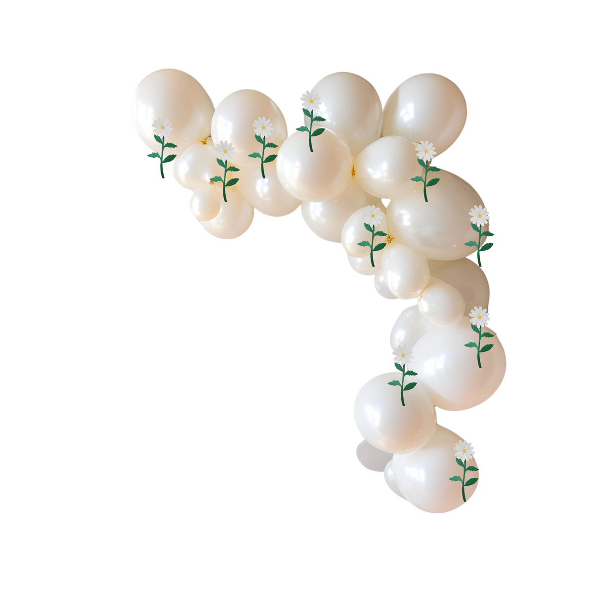 2m white balloon daisy flower garland product photo
