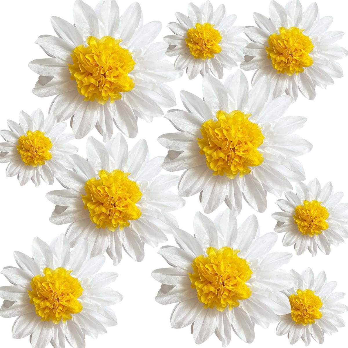8-pack white daisy paper flowers product photo 2