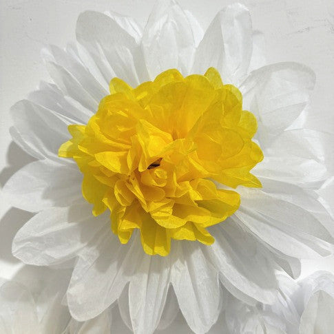 8-pack white daisy paper flowers product photo 4