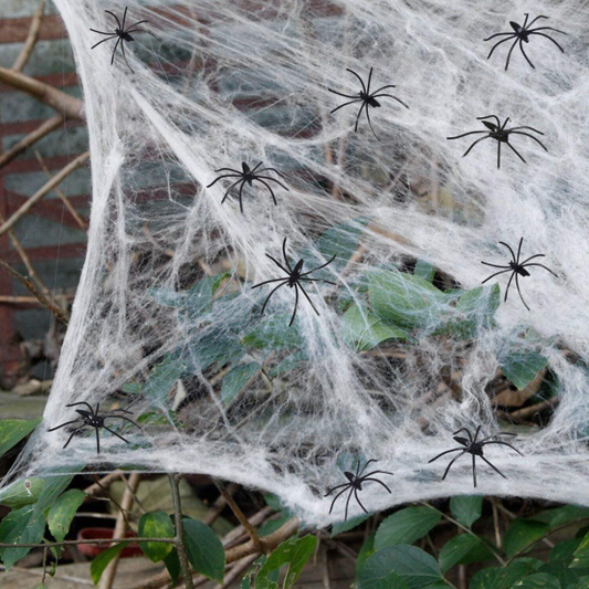 Halloween spiders and cotton web decoration product photo