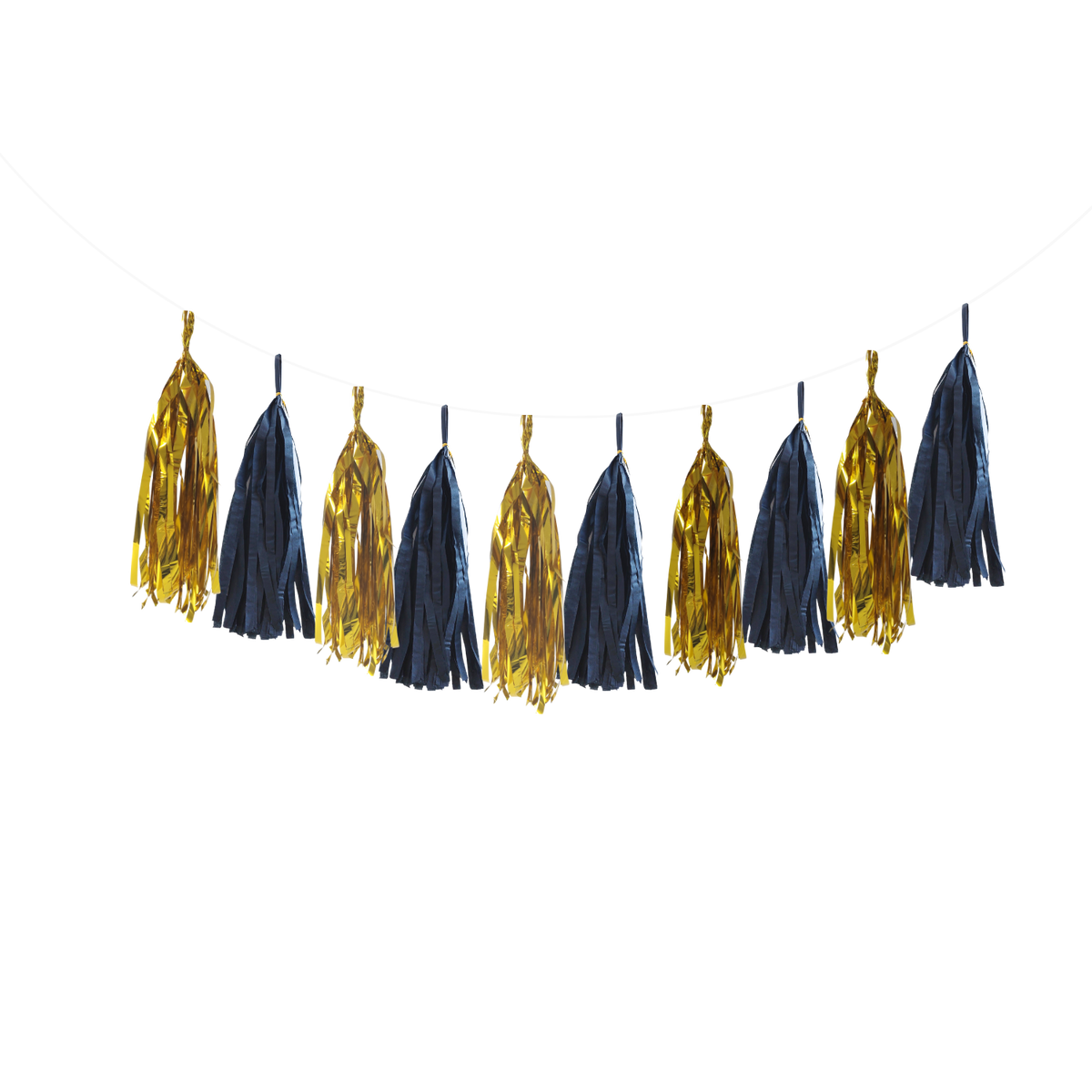 DIY Paper Tassel Garland Gold and Black product photo