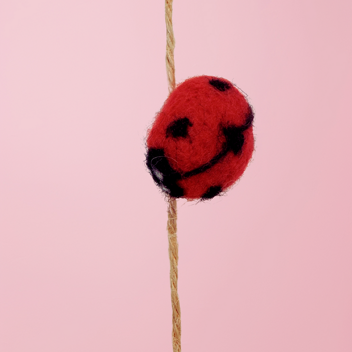 Handmade Girls room fairy party flowers ladybird mushroom hanging streamers decoration product photo 5
