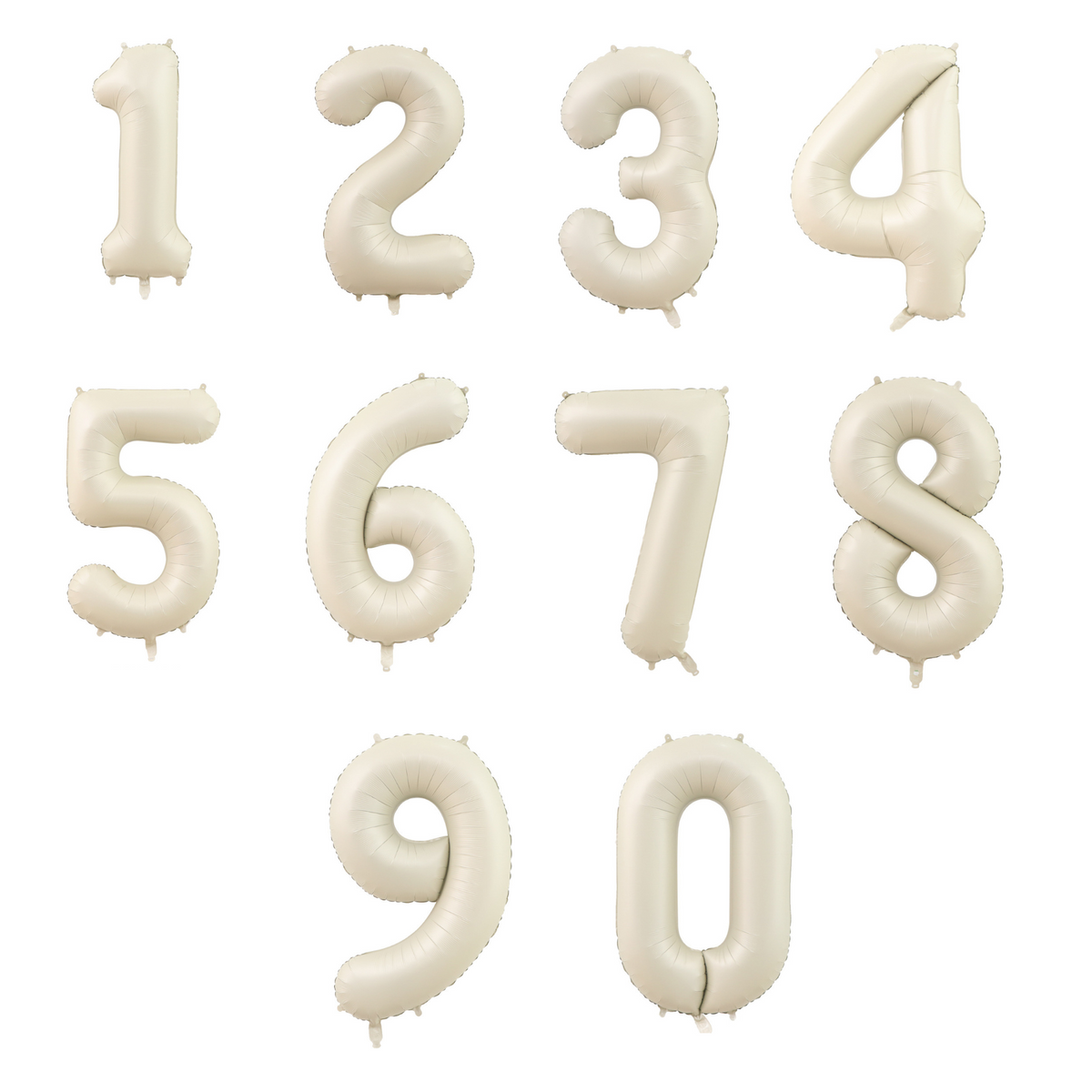 Sweet daisy beige and white balloon sculpture bouquet product photo 3