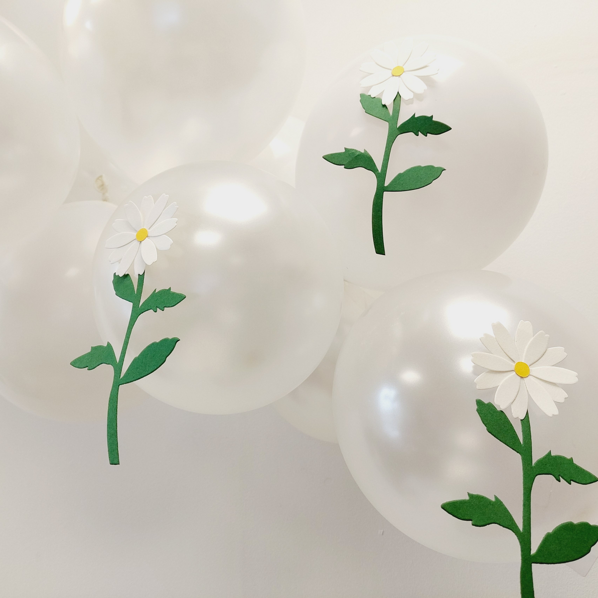 Sweet daisy beige and white balloon sculpture bouquet product photo 4